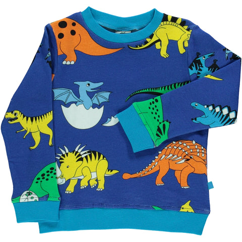 Blue Dinosaur Sweatshirt